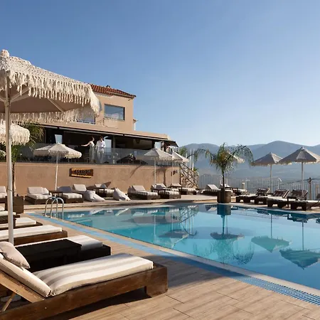 מלון דירות The 